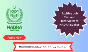 "Candidates attending NADRA Sukkur job test and interviews 2025 – exciting career opportunities await!"