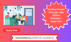Female Principal Job Opportunity in Peshawar – Apply Now
