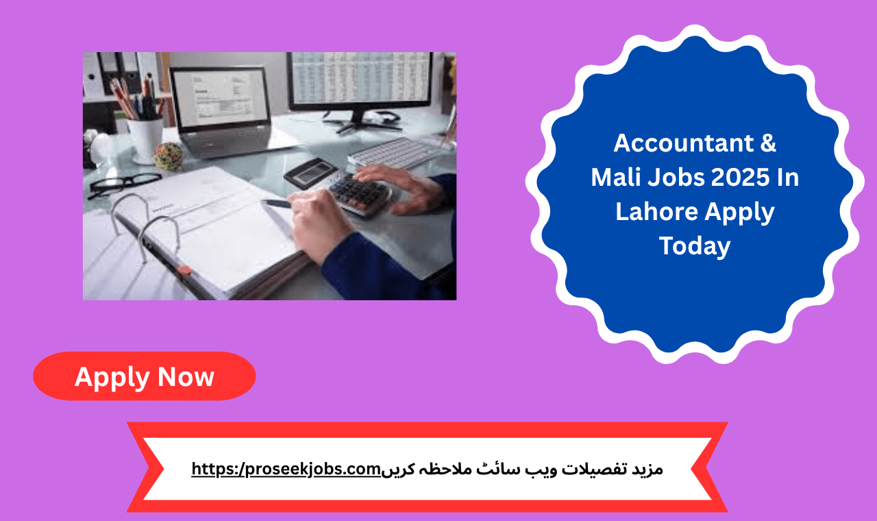 Accountant at work in Lahore office 2025